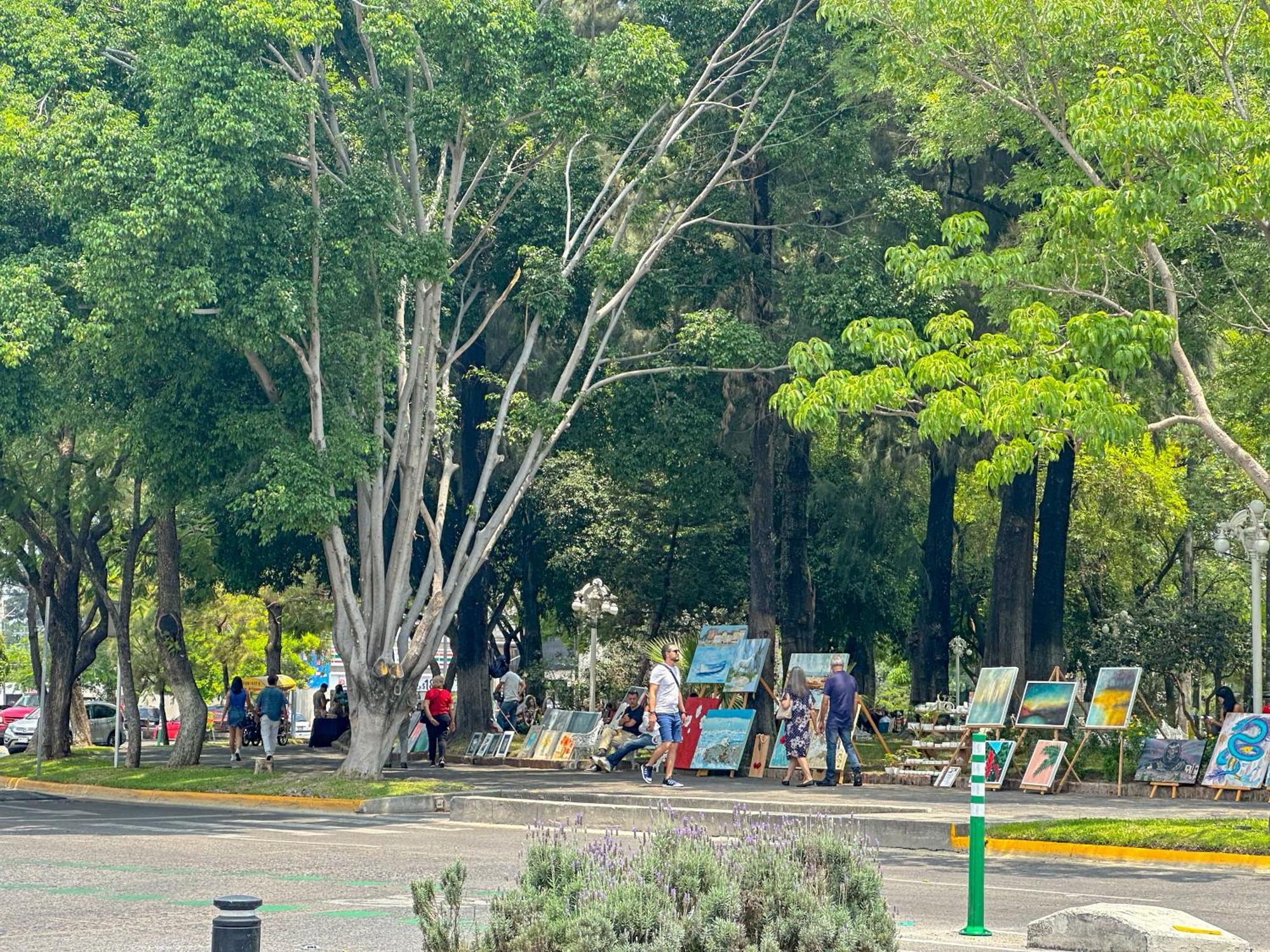Sencillo Y Acogedor Estudio En Chapalita 02 Guadalajara Kültér fotó