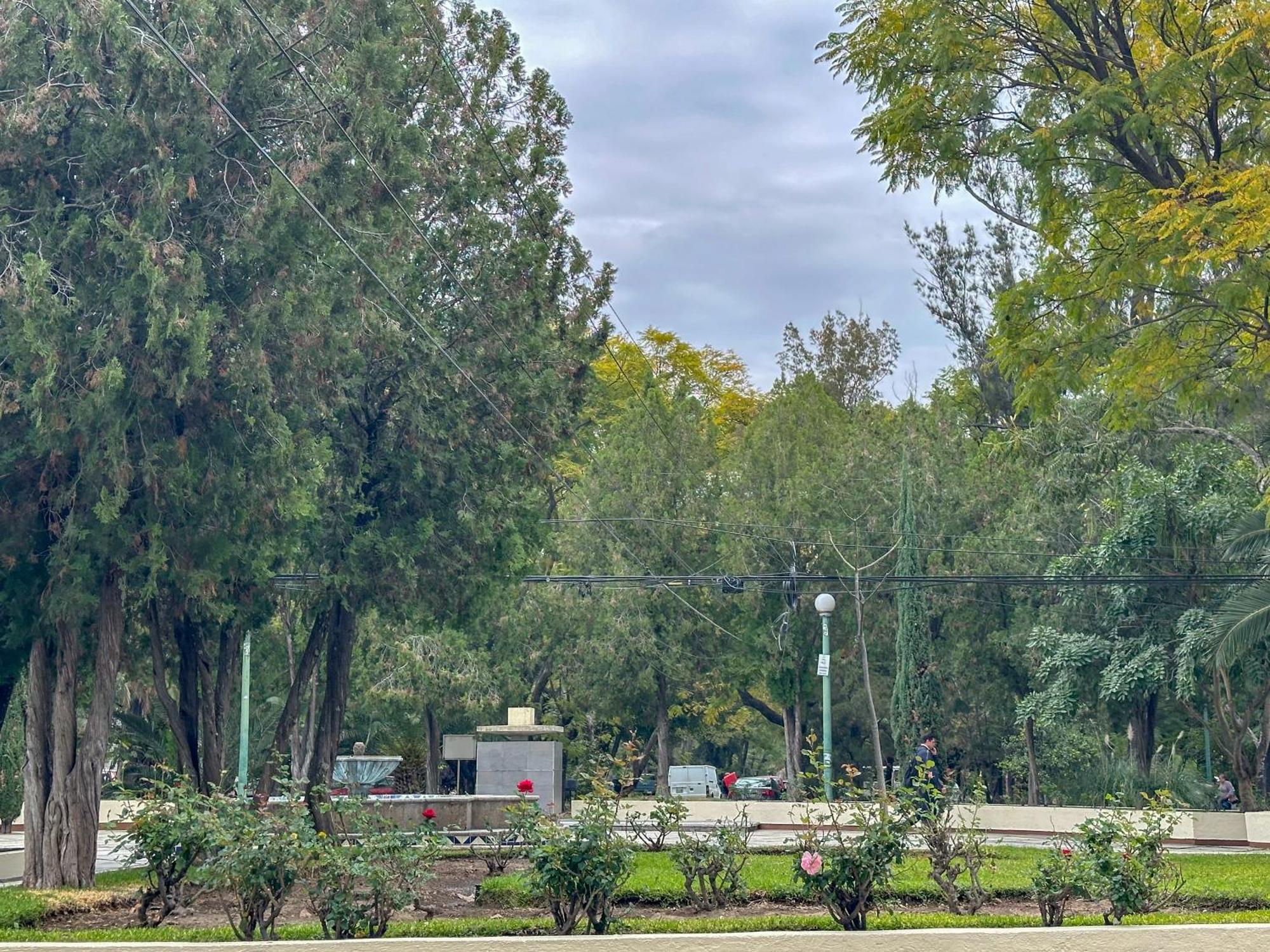 Sencillo Y Acogedor Estudio En Chapalita 02 Guadalajara Kültér fotó