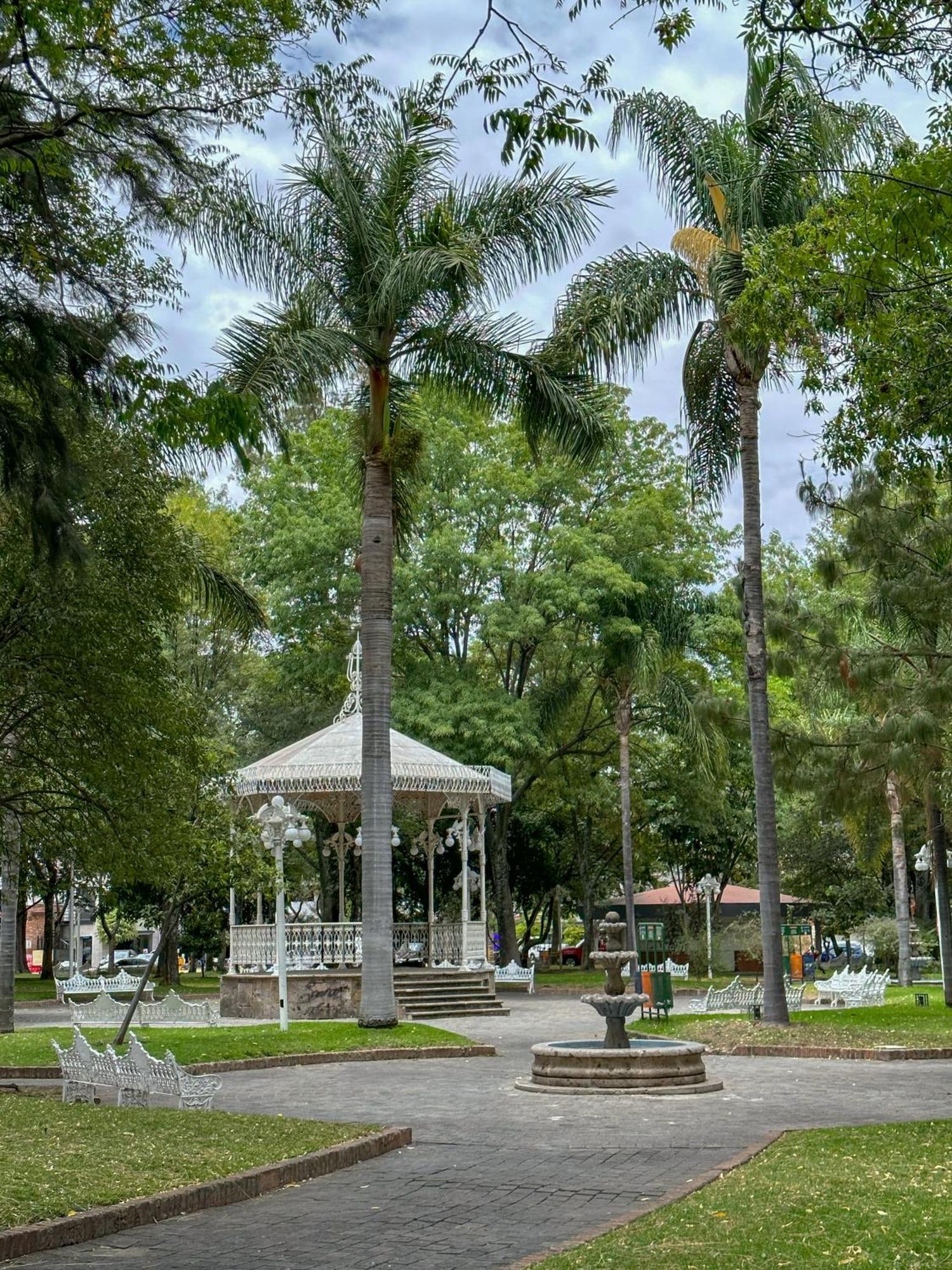 Sencillo Y Acogedor Estudio En Chapalita 02 Guadalajara Kültér fotó
